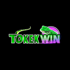 TOKEKWIN - Aplikasi Belanja Elektronik Terbaik
